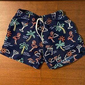 Chubbies Small 5.5in The Neon Lights Swim Trunks